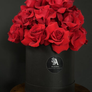 Red Roses Box Designed