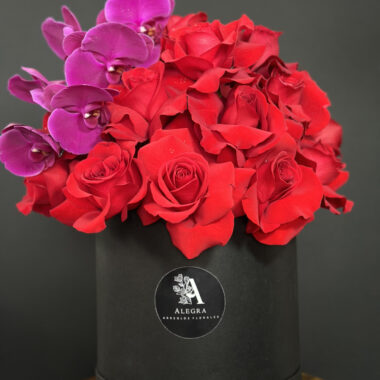 Red Roses & Orchids Box