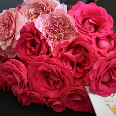 Pink Wabara and Roses
